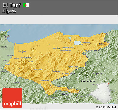 Savanna Style 3D Map of El Tarf