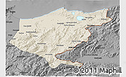 Shaded Relief 3D Map of El Tarf, darken, desaturated