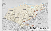 Shaded Relief 3D Map of El Tarf, desaturated