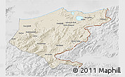 Shaded Relief 3D Map of El Tarf, lighten, desaturated