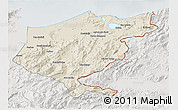 Shaded Relief 3D Map of El Tarf, lighten, semi-desaturated