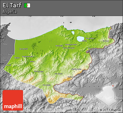 Physical Map of El Tarf, desaturated