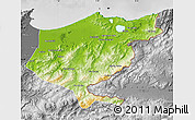 Physical Map of El Tarf, desaturated