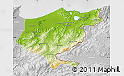 Physical Map of El Tarf, lighten, desaturated