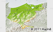 Physical Map of El Tarf, lighten, semi-desaturated