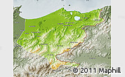 Physical Map of El Tarf, semi-desaturated