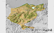 Satellite Map of El Tarf, lighten, desaturated