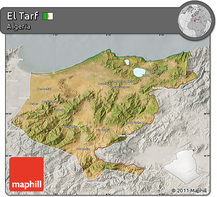 Satellite Map of El Tarf, lighten, semi-desaturated