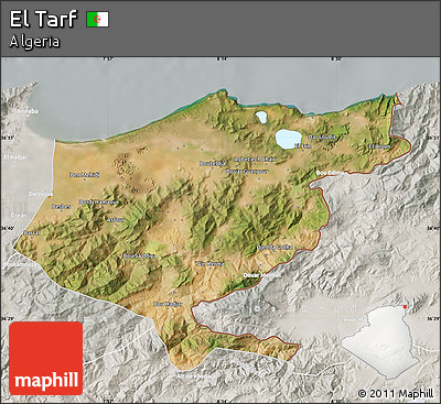 Satellite Map of El Tarf, lighten, semi-desaturated