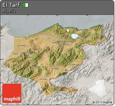 Satellite Map of El Tarf, lighten, semi-desaturated