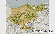 Satellite Map of El Tarf, lighten, semi-desaturated
