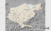 Shaded Relief Map of El Tarf, darken, desaturated