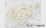 Shaded Relief Map of El Tarf, lighten, desaturated