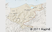 Shaded Relief Map of El Tarf, lighten