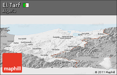 Gray Panoramic Map of El Tarf