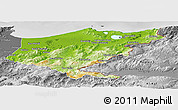 Physical Panoramic Map of El Tarf, desaturated