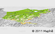 Physical Panoramic Map of El Tarf, lighten, desaturated