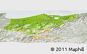 Physical Panoramic Map of El Tarf, lighten, semi-desaturated