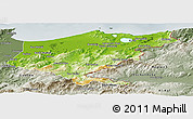 Physical Panoramic Map of El Tarf, semi-desaturated