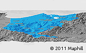 Political Panoramic Map of El Tarf, desaturated