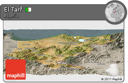 Satellite Panoramic Map of El Tarf, semi-desaturated