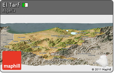 Satellite Panoramic Map of El Tarf, semi-desaturated
