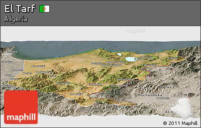 Satellite Panoramic Map of El Tarf, semi-desaturated