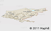 Shaded Relief Panoramic Map of El Tarf, cropped outside