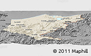 Shaded Relief Panoramic Map of El Tarf, darken, desaturated
