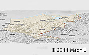 Shaded Relief Panoramic Map of El Tarf, desaturated