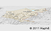 Shaded Relief Panoramic Map of El Tarf, lighten, desaturated