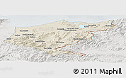 Shaded Relief Panoramic Map of El Tarf, lighten, semi-desaturated