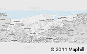 Silver Style Panoramic Map of El Tarf