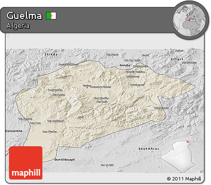 Shaded Relief 3D Map of Guelma, desaturated