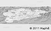 Gray Panoramic Map of Guelma