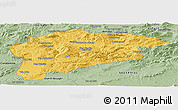 Savanna Style Panoramic Map of Guelma