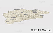 Shaded Relief Panoramic Map of Guelma, cropped outside