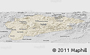 Shaded Relief Panoramic Map of Guelma, desaturated