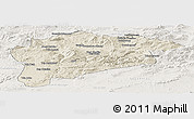 Shaded Relief Panoramic Map of Guelma, lighten