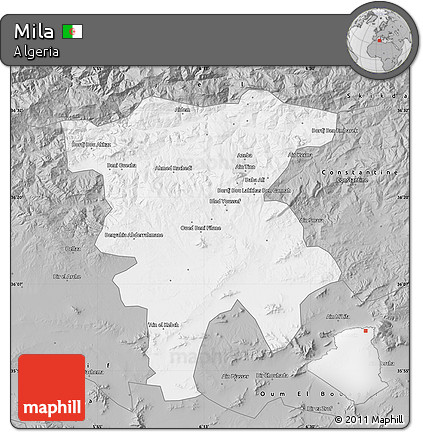 Gray Map of Mila