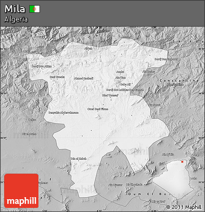 Gray Map of Mila