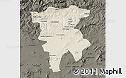 Shaded Relief Map of Mila, darken