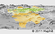 Physical Panoramic Map of Mila, desaturated