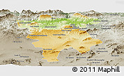 Physical Panoramic Map of Mila, semi-desaturated