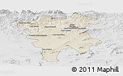 Shaded Relief Panoramic Map of Mila, lighten, desaturated