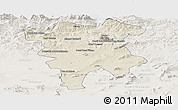 Shaded Relief Panoramic Map of Mila, lighten