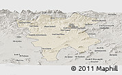 Shaded Relief Panoramic Map of Mila, semi-desaturated