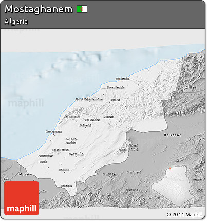 Gray 3D Map of Mostaghanem
