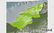 Physical 3D Map of Mostaghanem, darken, semi-desaturated