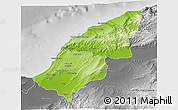 Physical 3D Map of Mostaghanem, desaturated